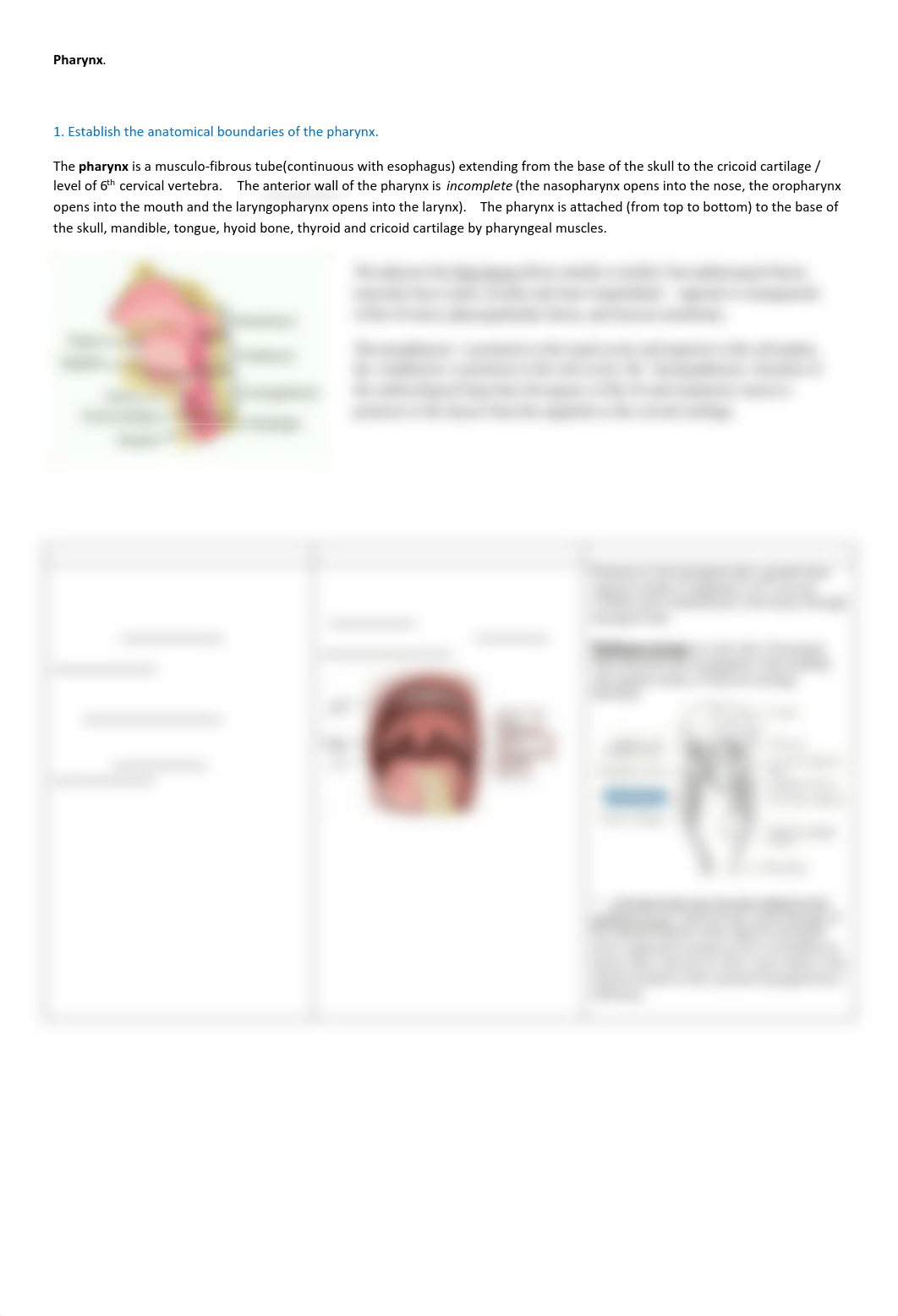 Pharynx.pdf_duxvrge1lkf_page1