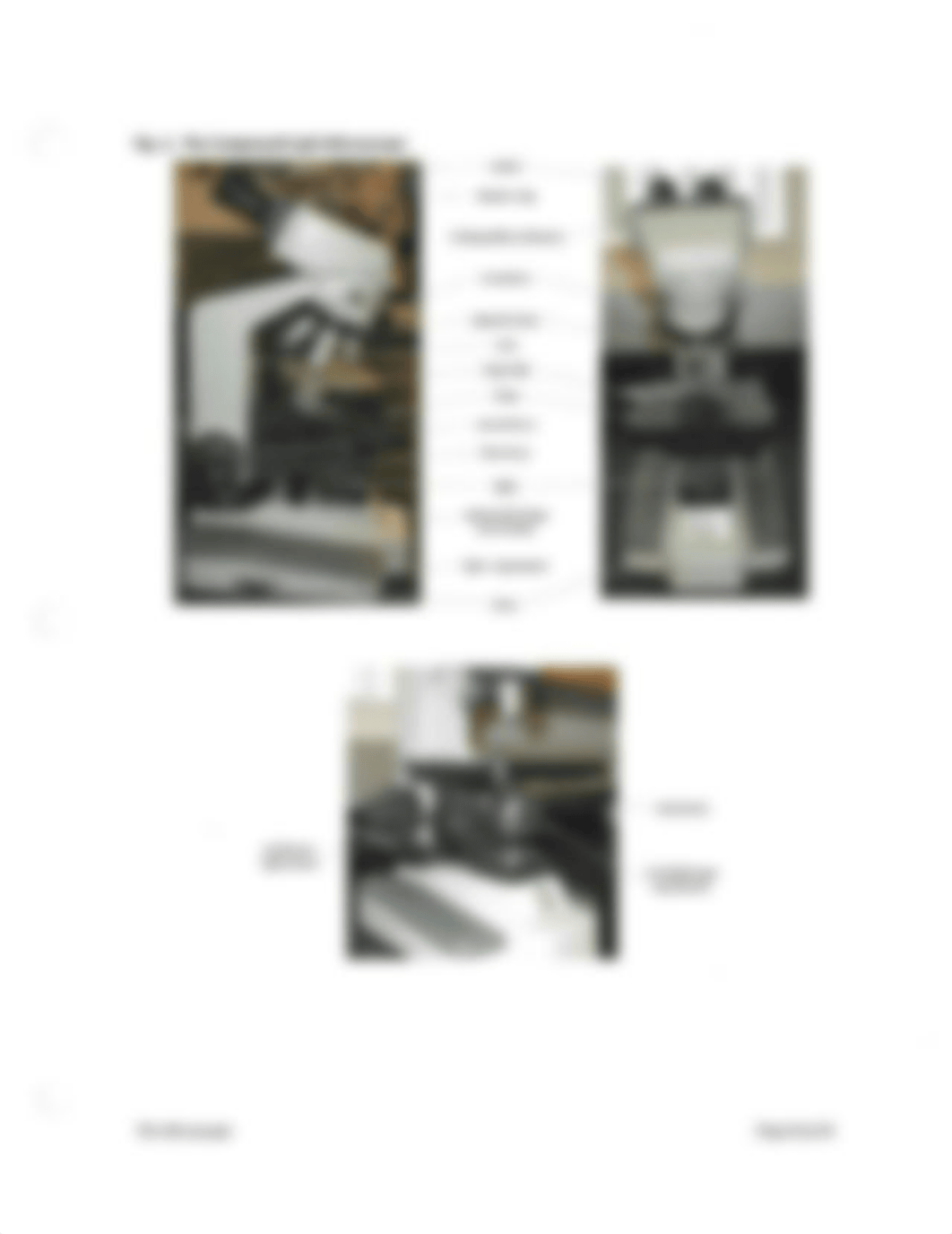 Lab 5 - Microscopes.pdf_duxwd8lmvov_page2