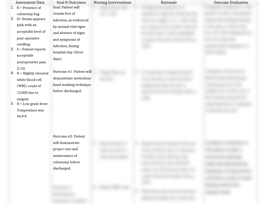 Nursing Care Plan_duy8gw102ye_page2