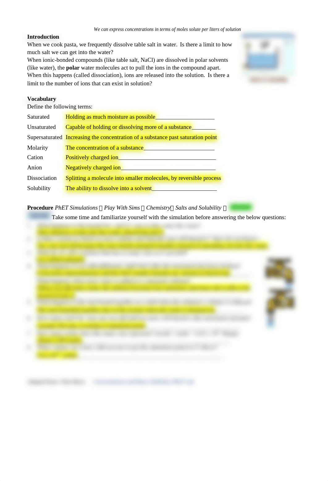 Lab 9 Salts and Solubility.docx_duyhjndd201_page1