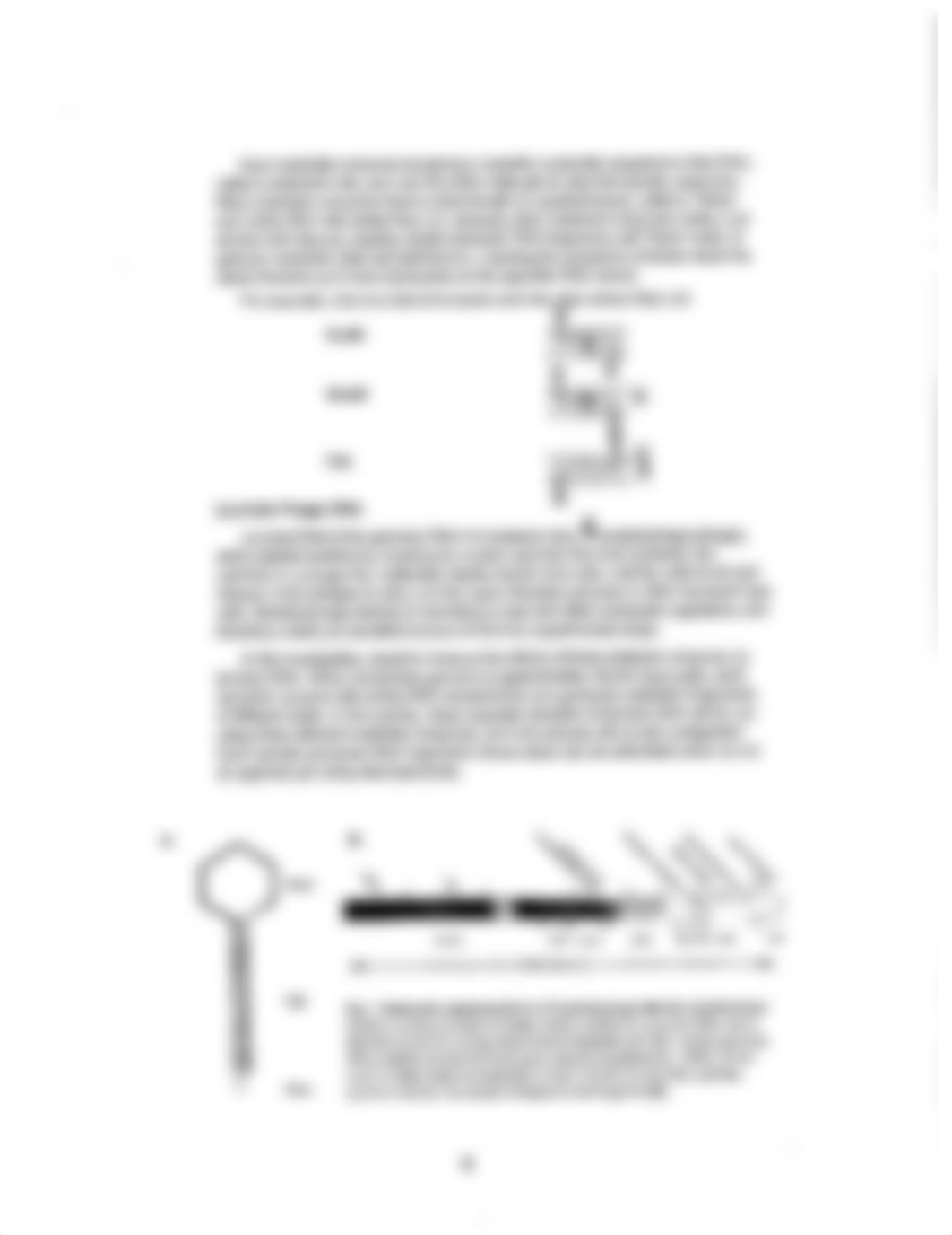 Lab Ex. 6 - Restriction Enzymes.pdf_duyhwr1ec4b_page2