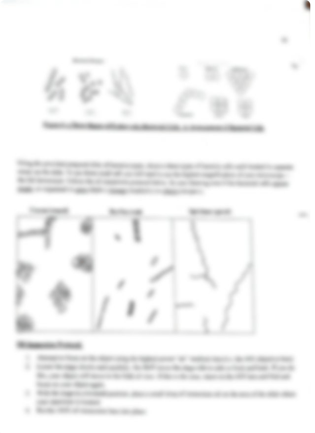 BIOL 003 Lab#6.pdf_duyjyp43c08_page3