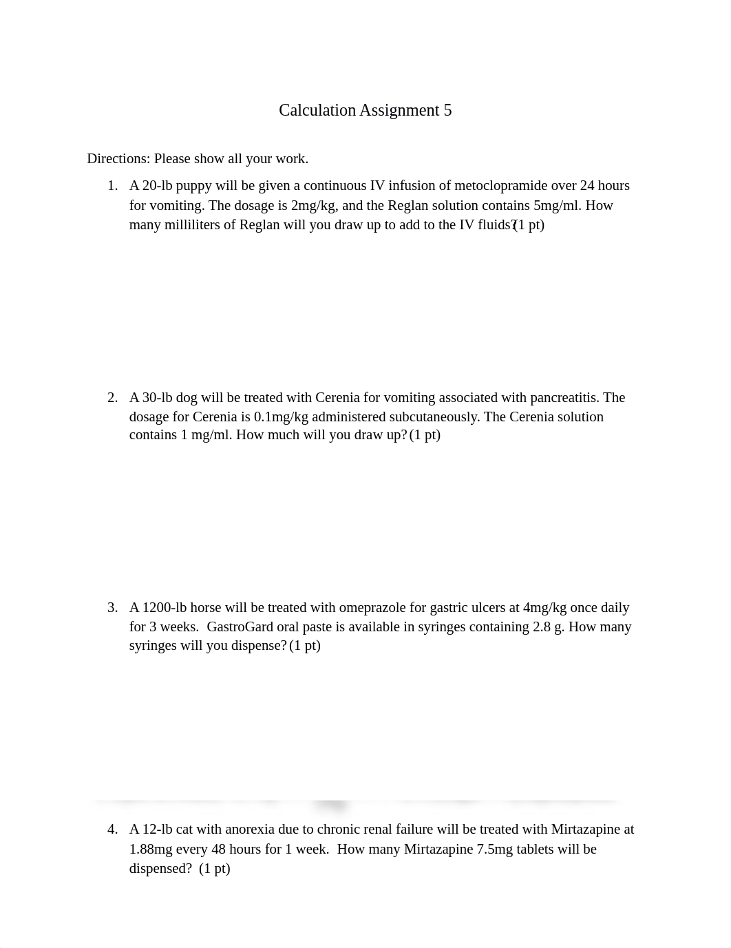 Calculation Assignment 5.docx_duykswwr4h2_page1