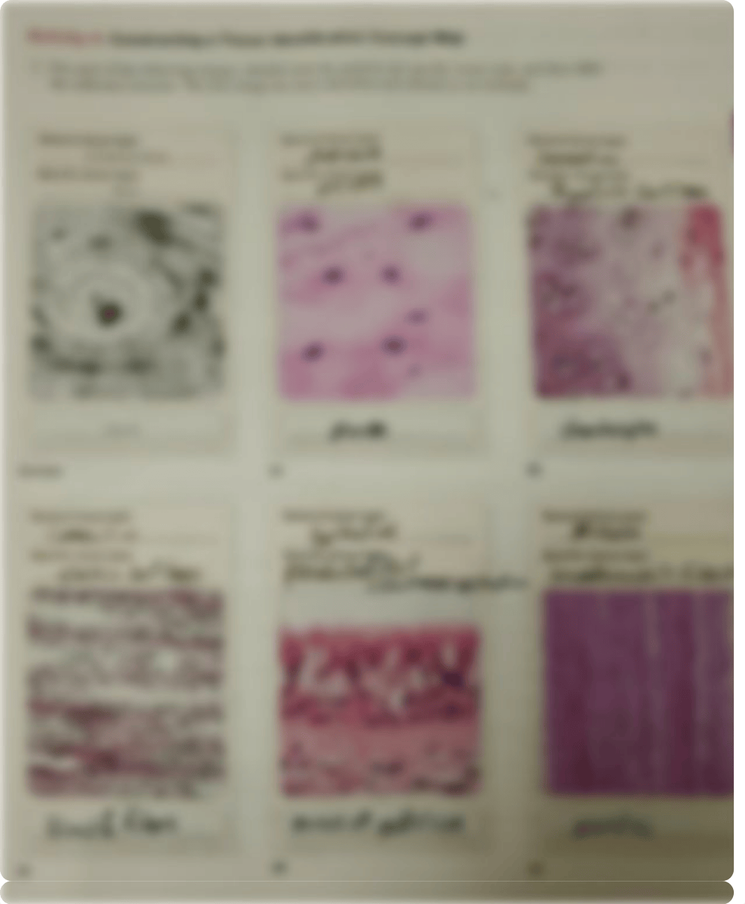 Ch.6 Histology post-Lab.pdf_duyqo06h979_page3