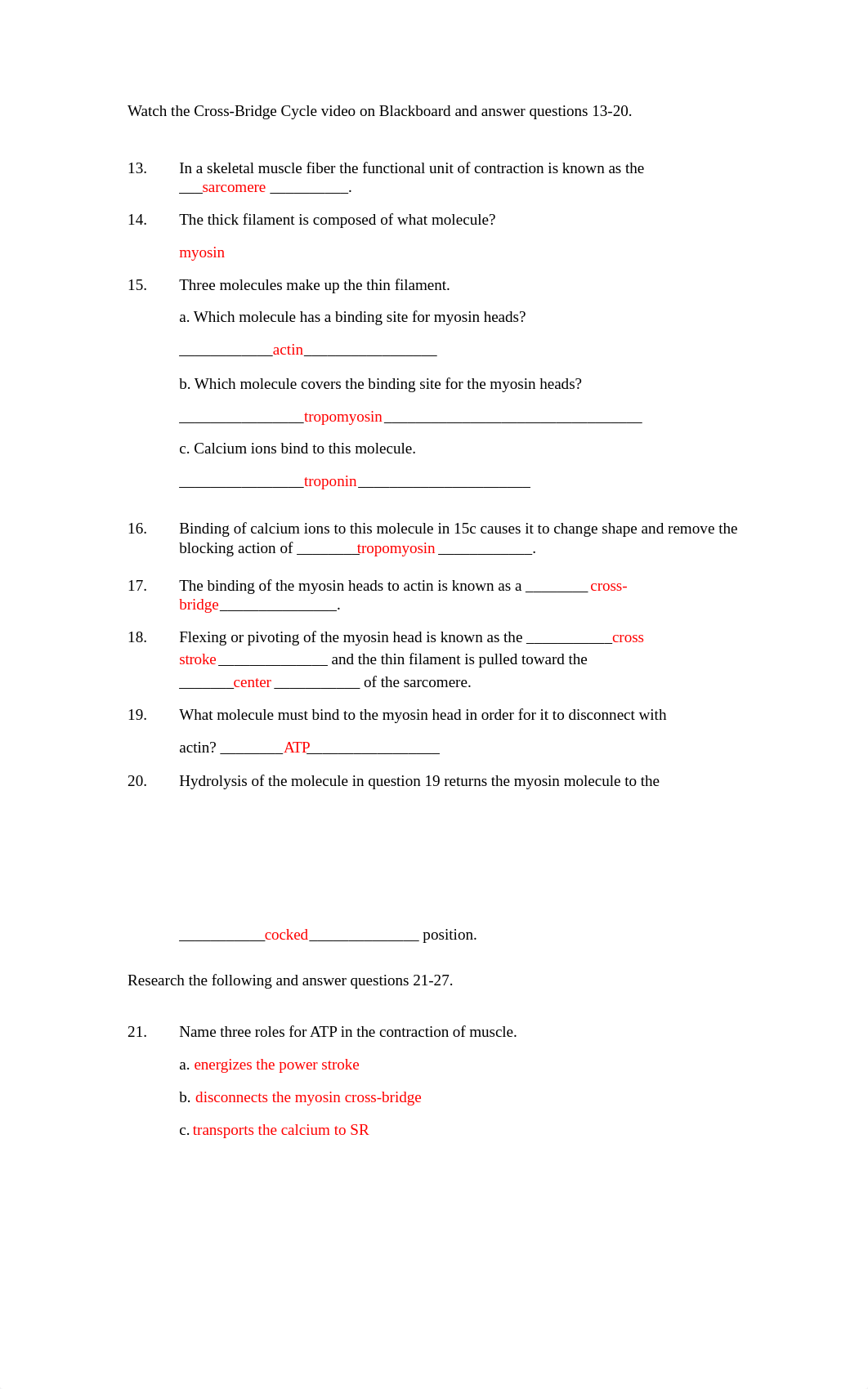 Muscle Contraction Worksheet.doc_duyvsh5ywwg_page2