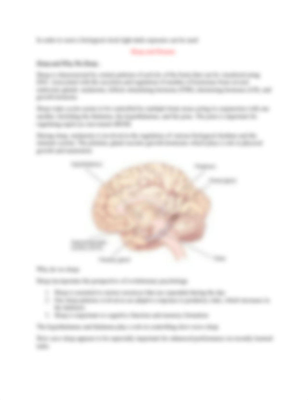 Exam 4 States of conciousness.docx_duyw2uxffgz_page3