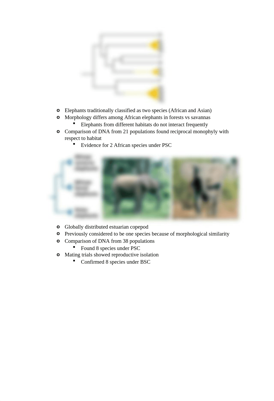 exam 3 evolution study.docx_duz2sntqu88_page4