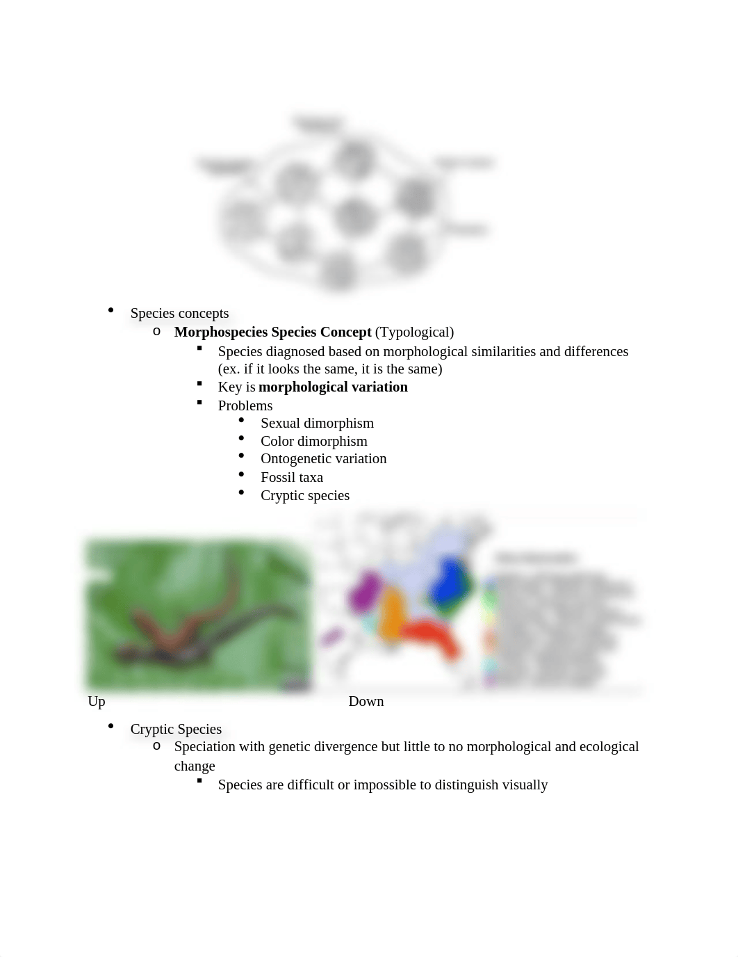 exam 3 evolution study.docx_duz2sntqu88_page2