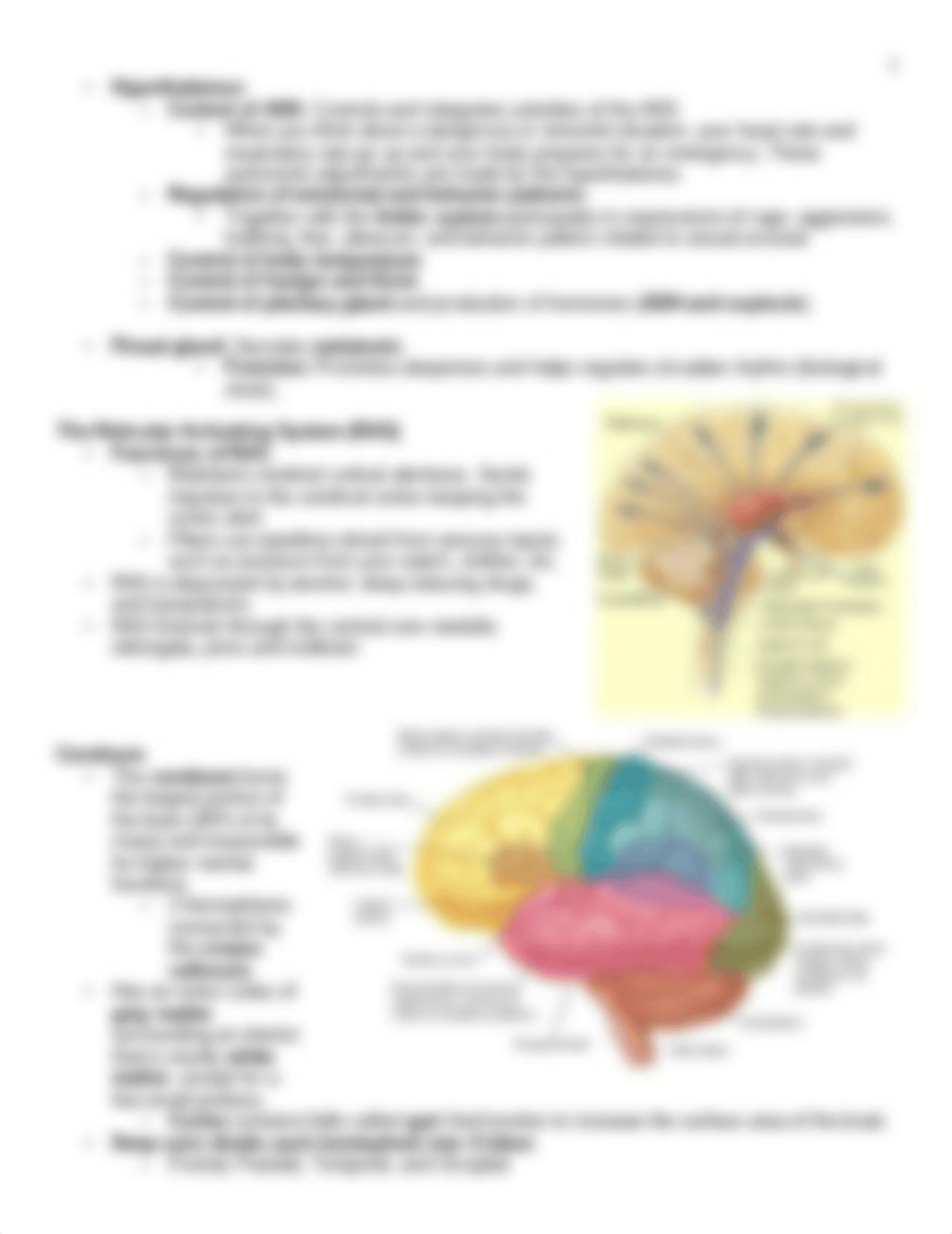 Chapter 10 Central Nervous System, Spinal Nerves, and Cranial Nerves.pdf_duzeo3k0pof_page3