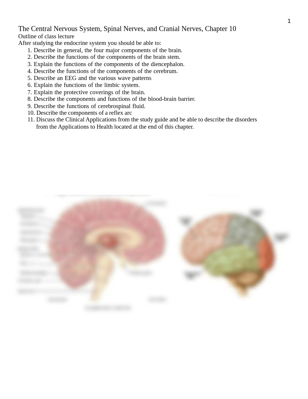 Chapter 10 Central Nervous System, Spinal Nerves, and Cranial Nerves.pdf_duzeo3k0pof_page1