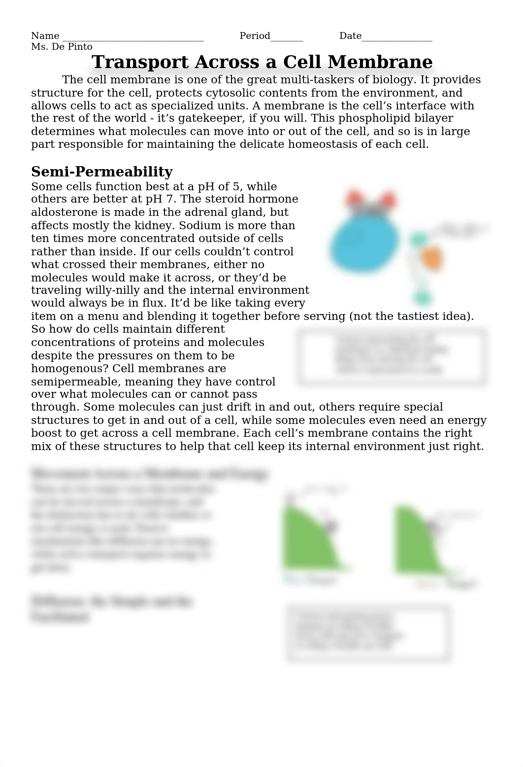 14 - Active vs Passive Transport Reading.docx_duzeoatfy0u_page1