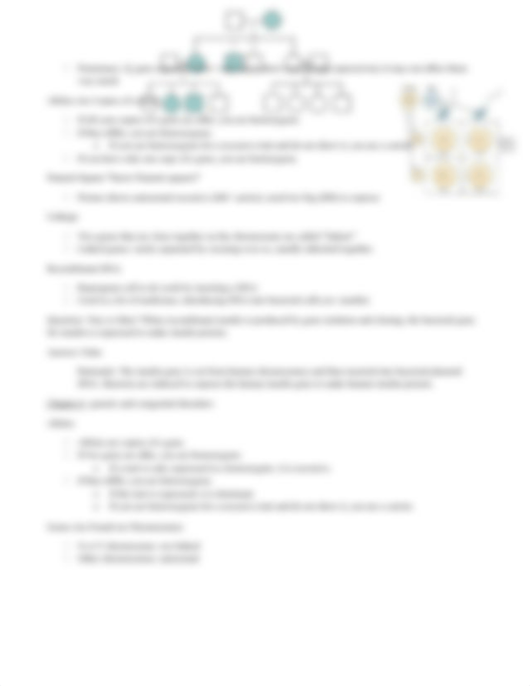 exam 2 Genes and Cancer.docx_duzgbnllekf_page3