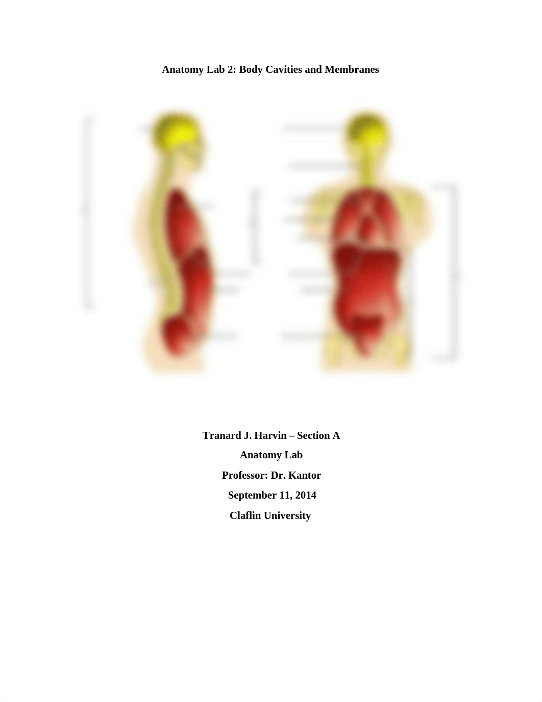 Body Cavities and Membranes_duzgdlalsdc_page1