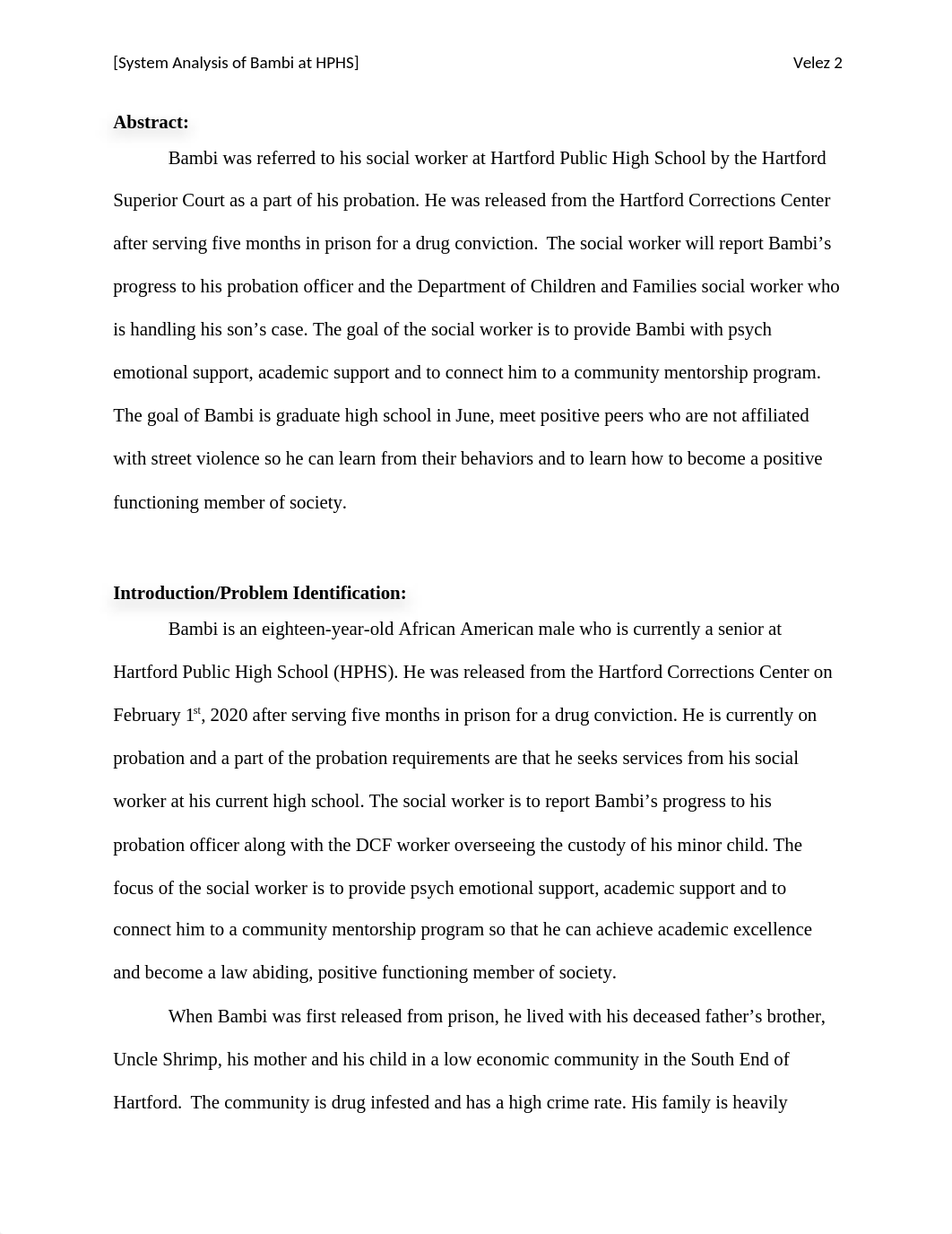 System anaysis-final .docx_duzkgxz9t7e_page2