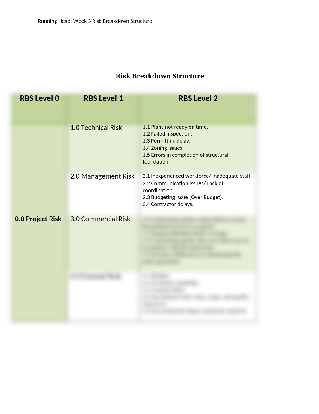 Ray Pyle Proj 420 Week 3 Risk Breakdown structure_duzp4h97jtd_page1