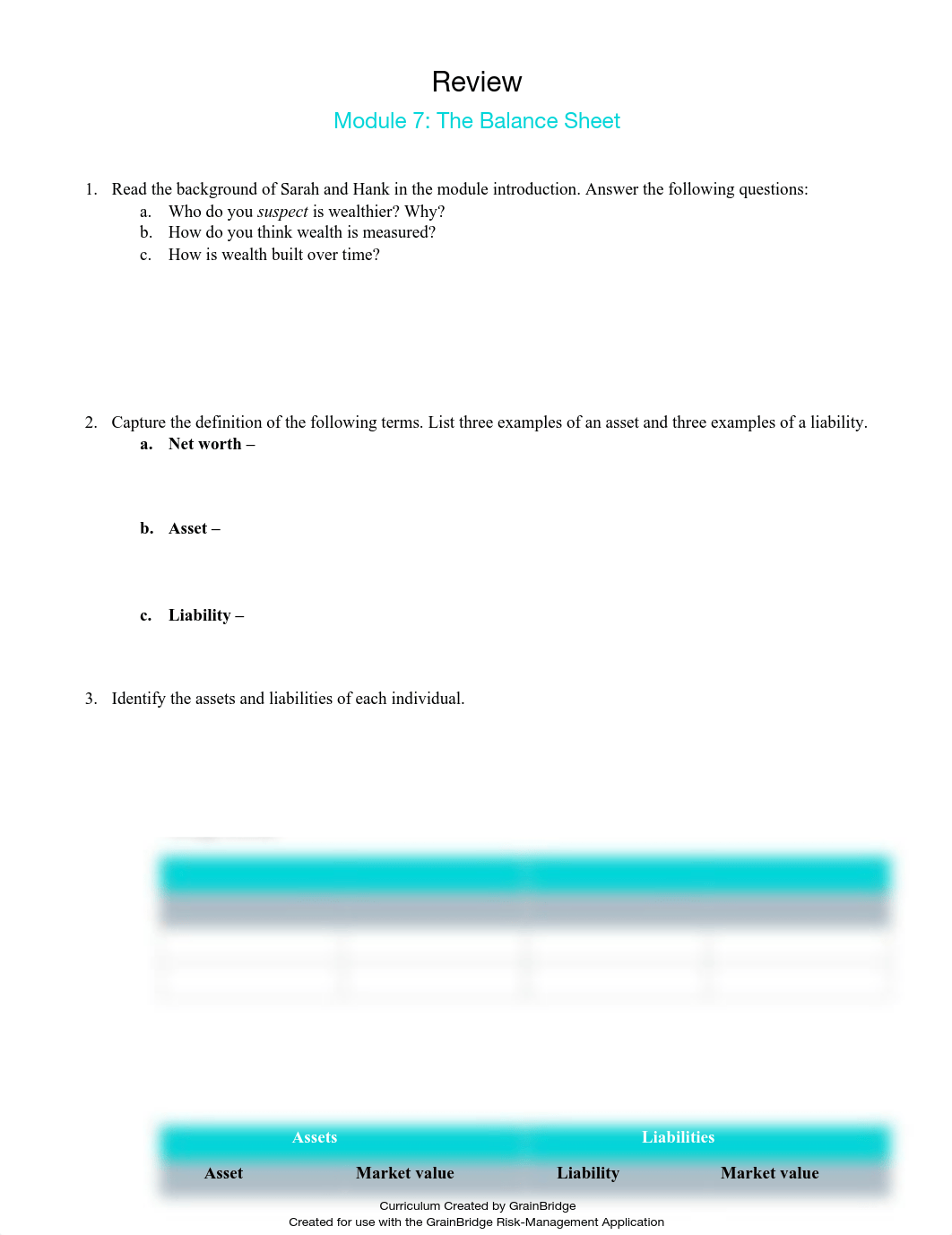 _7 - BalanceSheet_Review.docx.pdf_duzql8n4st5_page1