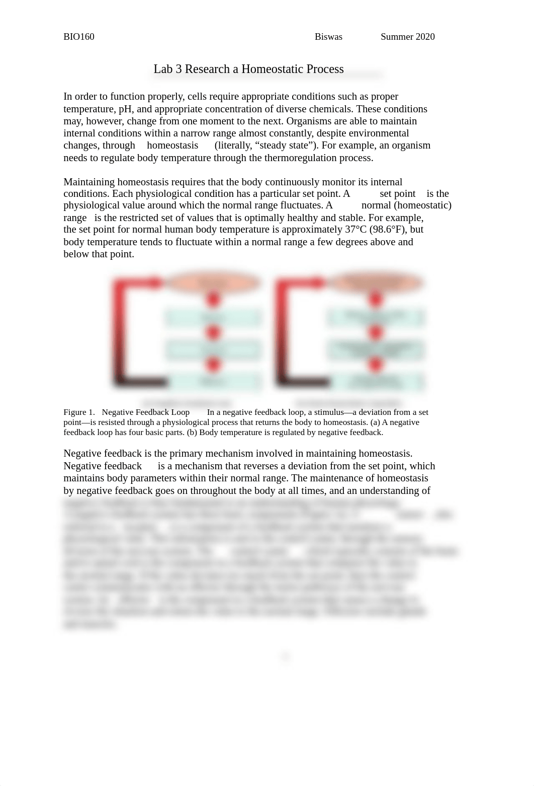 Lab 3. Research a Homeostatic Process.docx_duzqs6isp92_page1