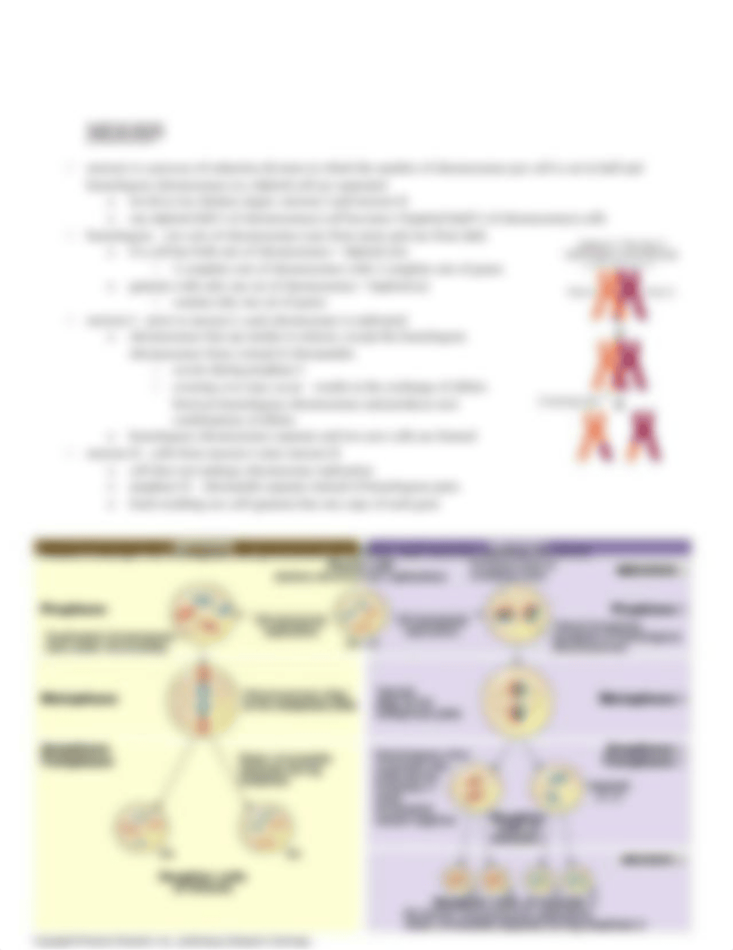 Biology Keystone Review Packet.2014.Part 2w.answers-2_duzwitxjz6x_page4