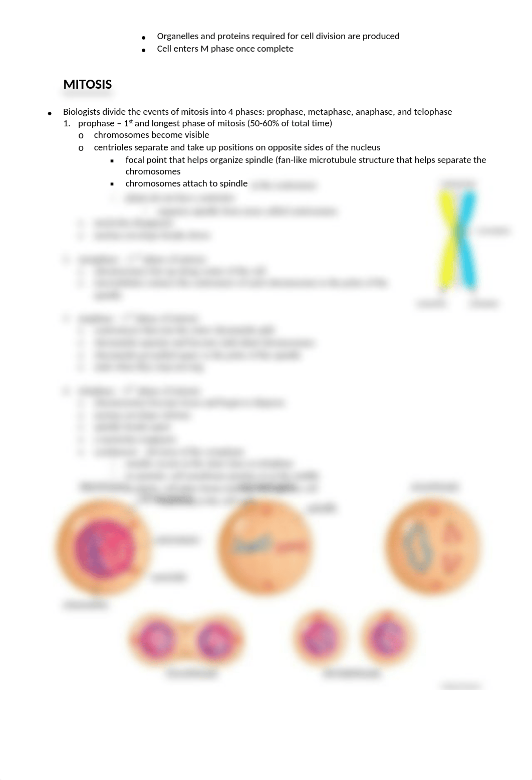 Biology Keystone Review Packet.2014.Part 2w.answers-2_duzwitxjz6x_page3