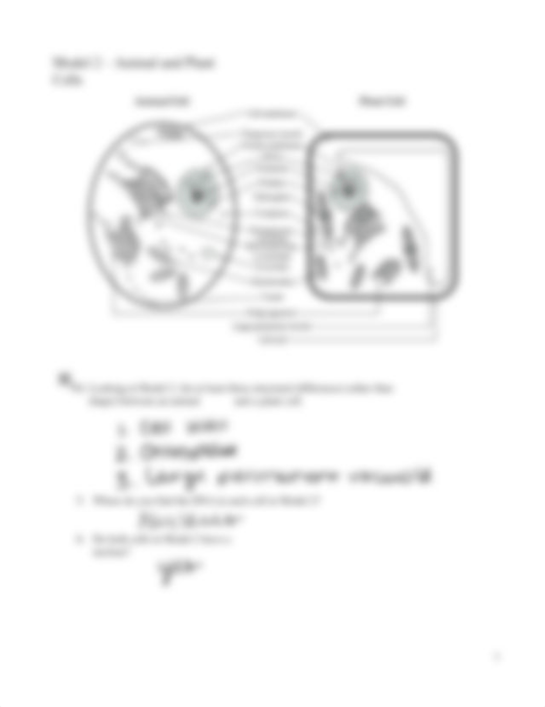 Prokaryote and Eukaryote Cells - answer key _ADAC.docx_duzwuzh0lxc_page3