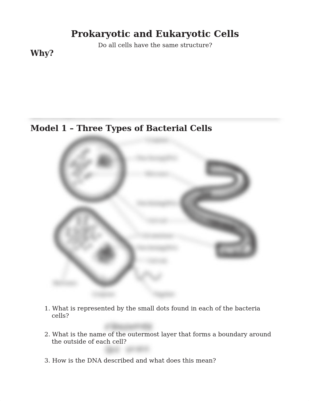 Prokaryote and Eukaryote Cells - answer key _ADAC.docx_duzwuzh0lxc_page1