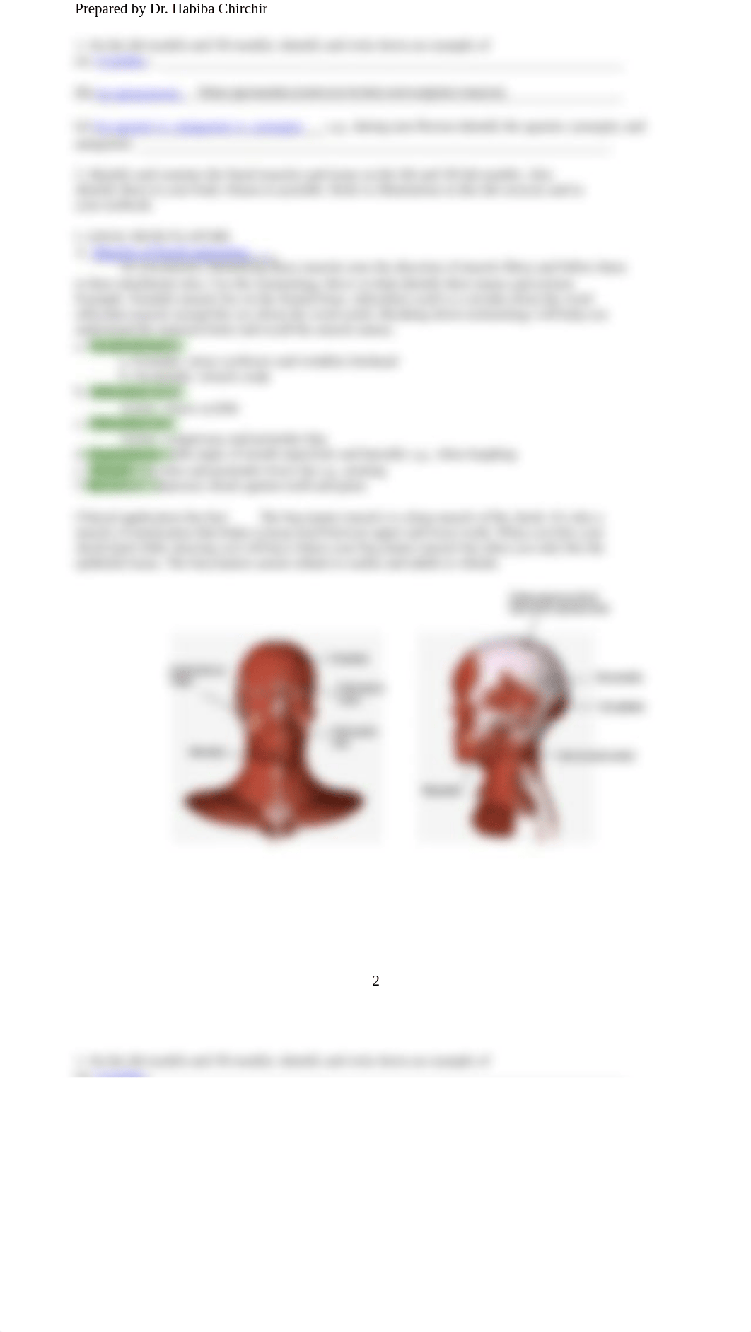 LAB 5 Muscular System (1).pdf_dv074x9gtog_page2