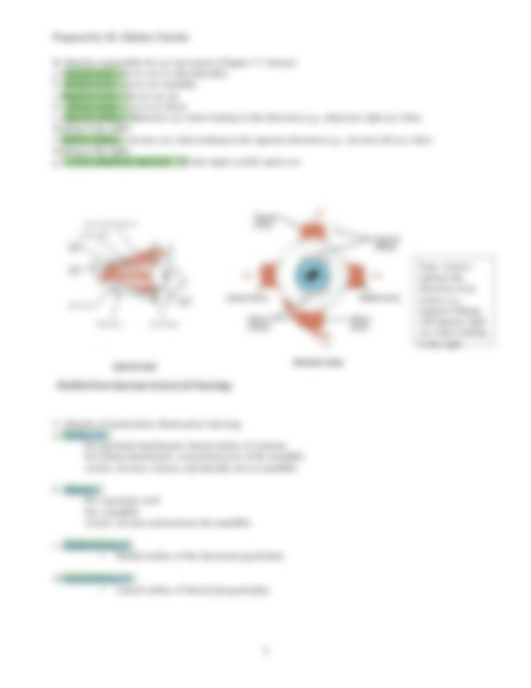 LAB 5 Muscular System (1).pdf_dv074x9gtog_page3