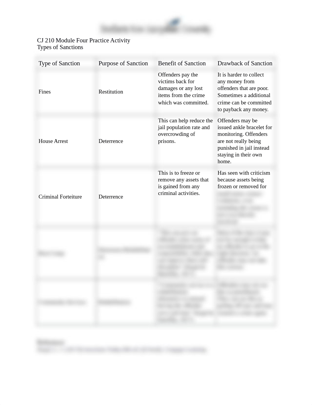 4-1 Practice Activity-Types of Sanctions copy.docx_dv08twkarle_page1