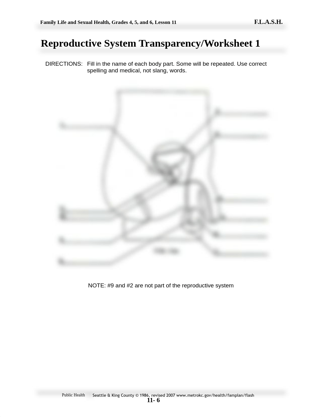 Male and Female Reproductive System.pdf_dv0yx5uw5qd_page1