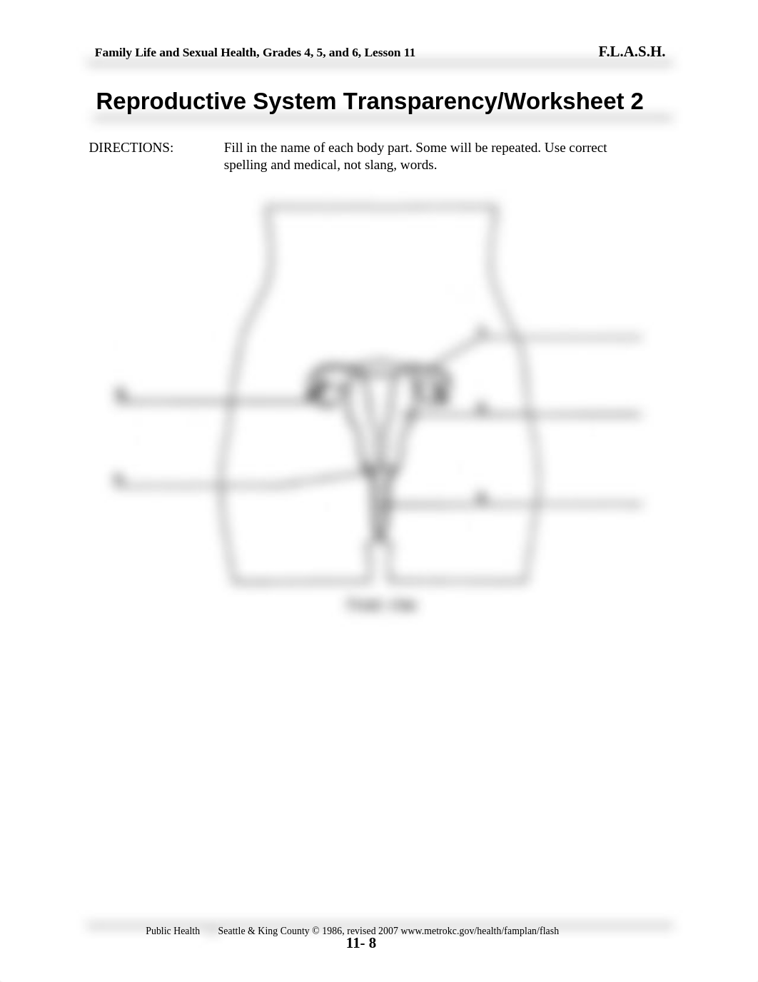 Male and Female Reproductive System.pdf_dv0yx5uw5qd_page2