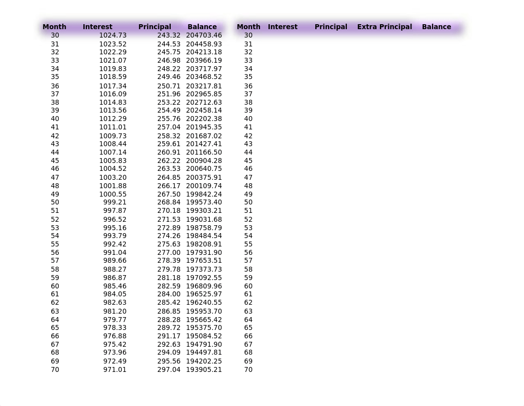 Ch4D_HomeLoanAmortization_Template (2).xls_dv13xurbi2x_page2