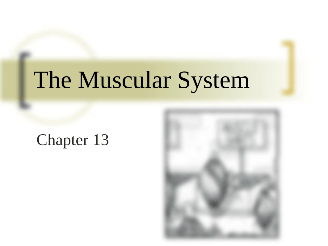 Muscular System (Chapter 13).pptx_dv150of6psm_page1