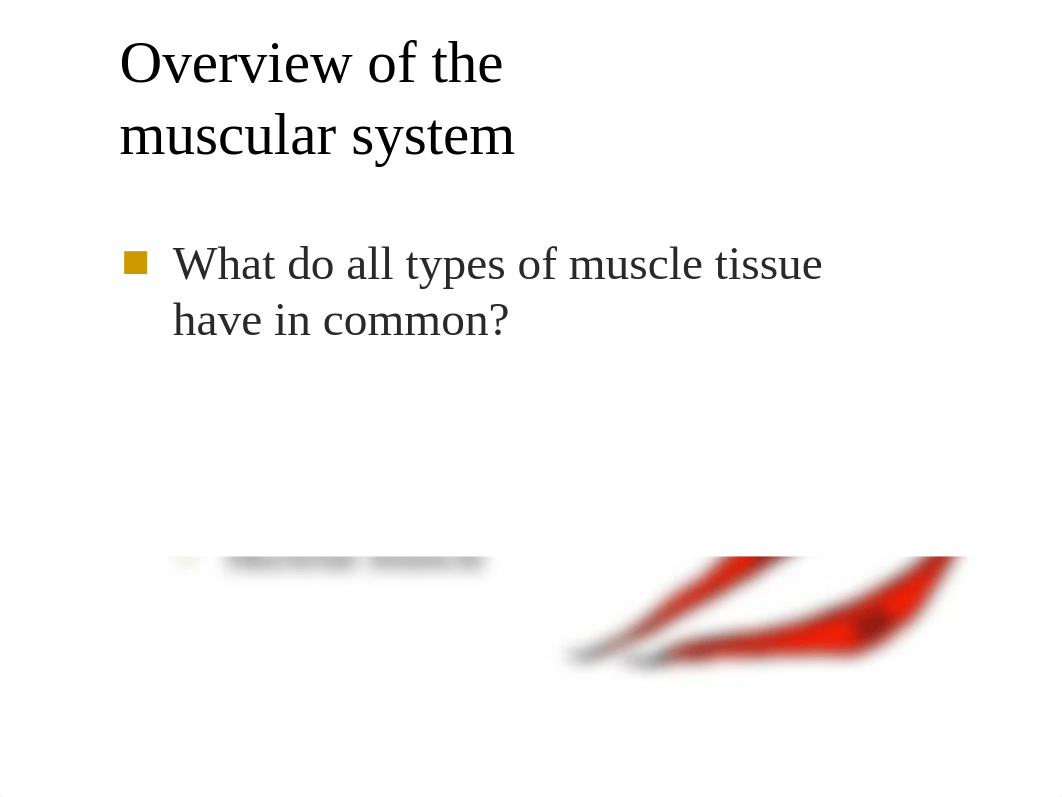 Muscular System (Chapter 13).pptx_dv150of6psm_page2