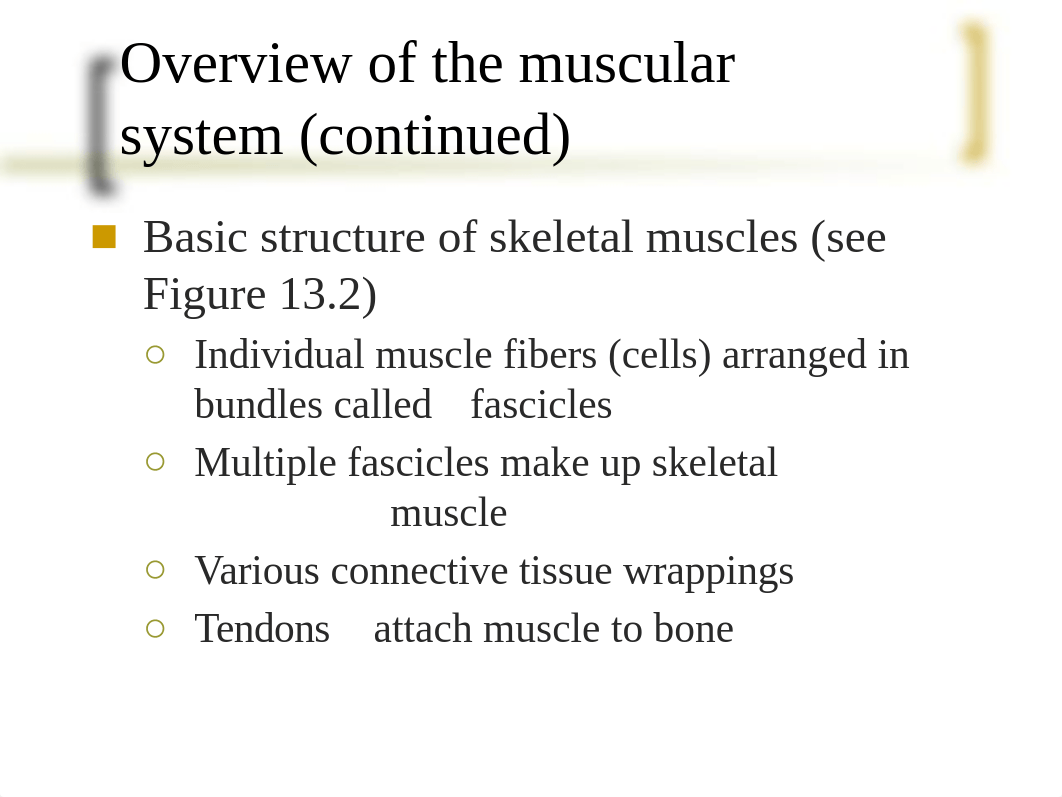 Muscular System (Chapter 13).pptx_dv150of6psm_page5