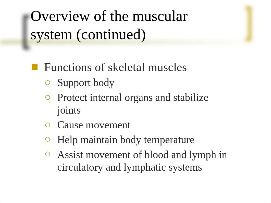 Muscular System (Chapter 13).pptx_dv150of6psm_page4