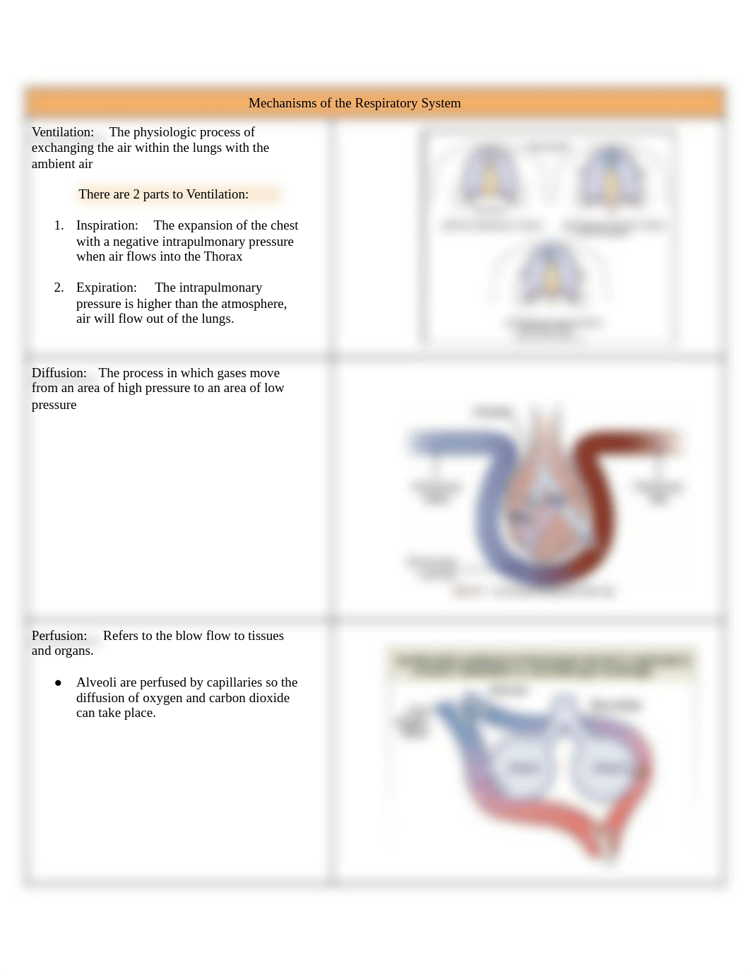 N164_ Exam #3 Notes .pdf_dv18s1d3ryo_page2