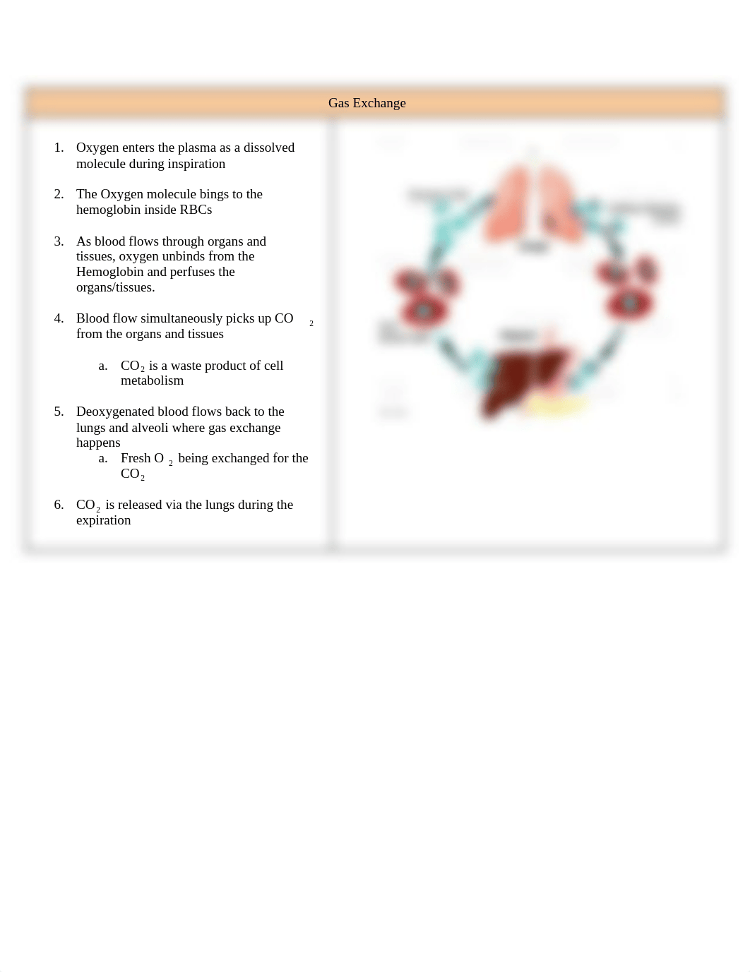 N164_ Exam #3 Notes .pdf_dv18s1d3ryo_page3