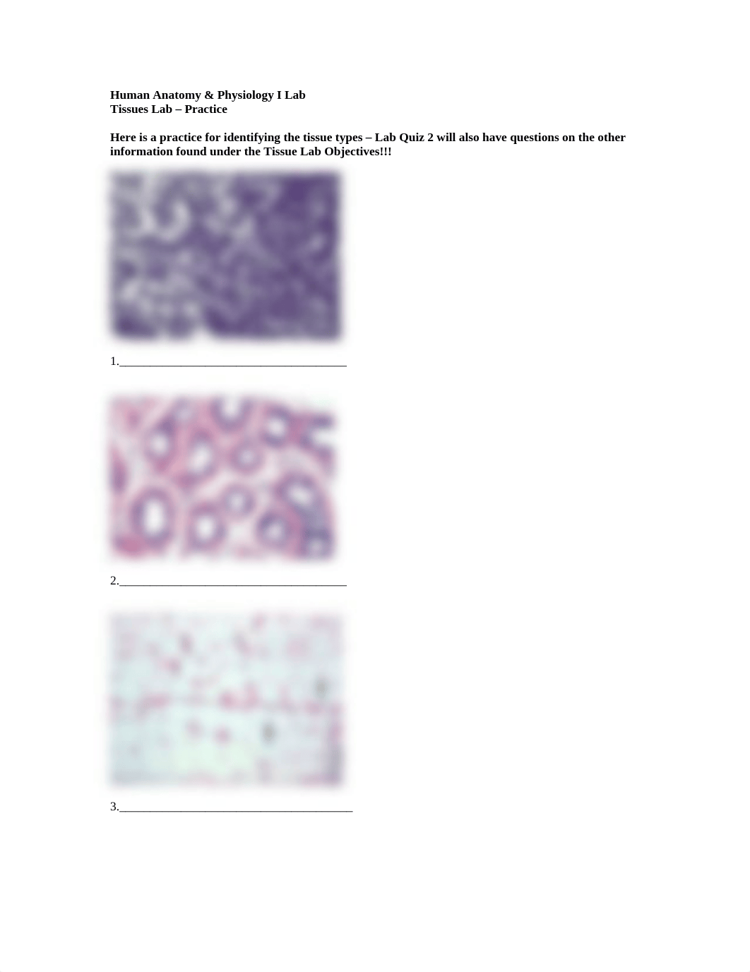 Lab_Tissues - Practice.doc_dv1dzyu2rou_page1