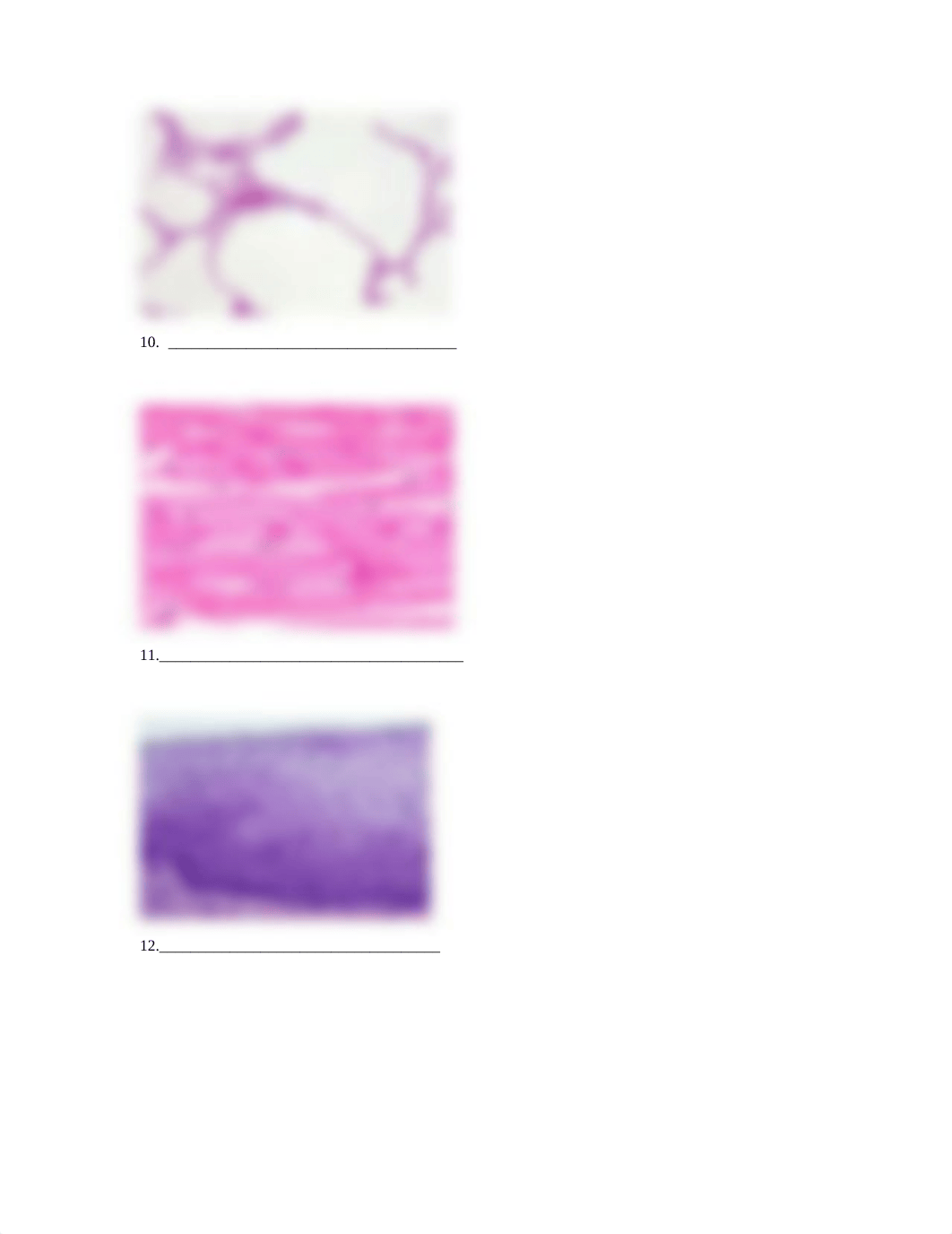 Lab_Tissues - Practice.doc_dv1dzyu2rou_page4