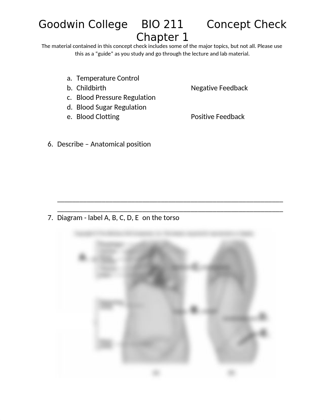 Atlas A and Chapter 1 Concept Check BIO211.docx_dv1h8tbixbl_page3