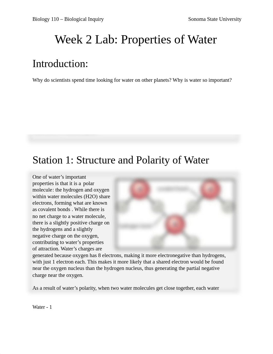 110 W2 Lab Properties of Water STUDENT.docx_dv1q00jat2r_page1