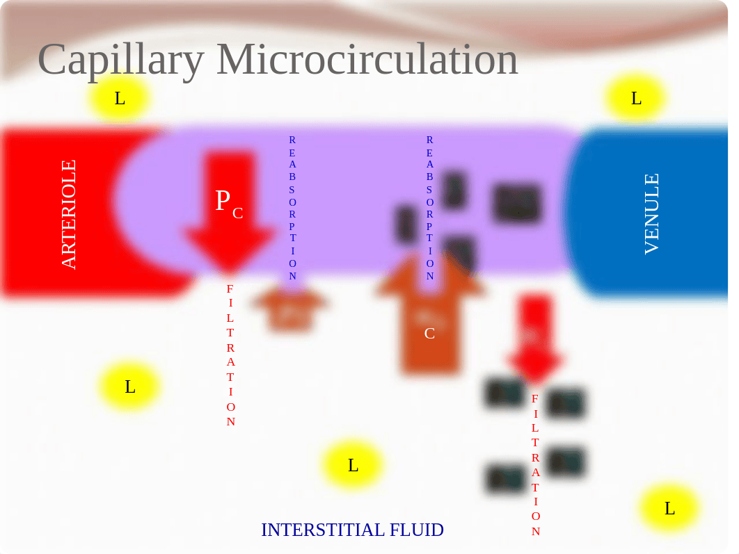 C4 Fluids and Electrolytes, Acids and Bases-Student_dv1qyrbvw8q_page5