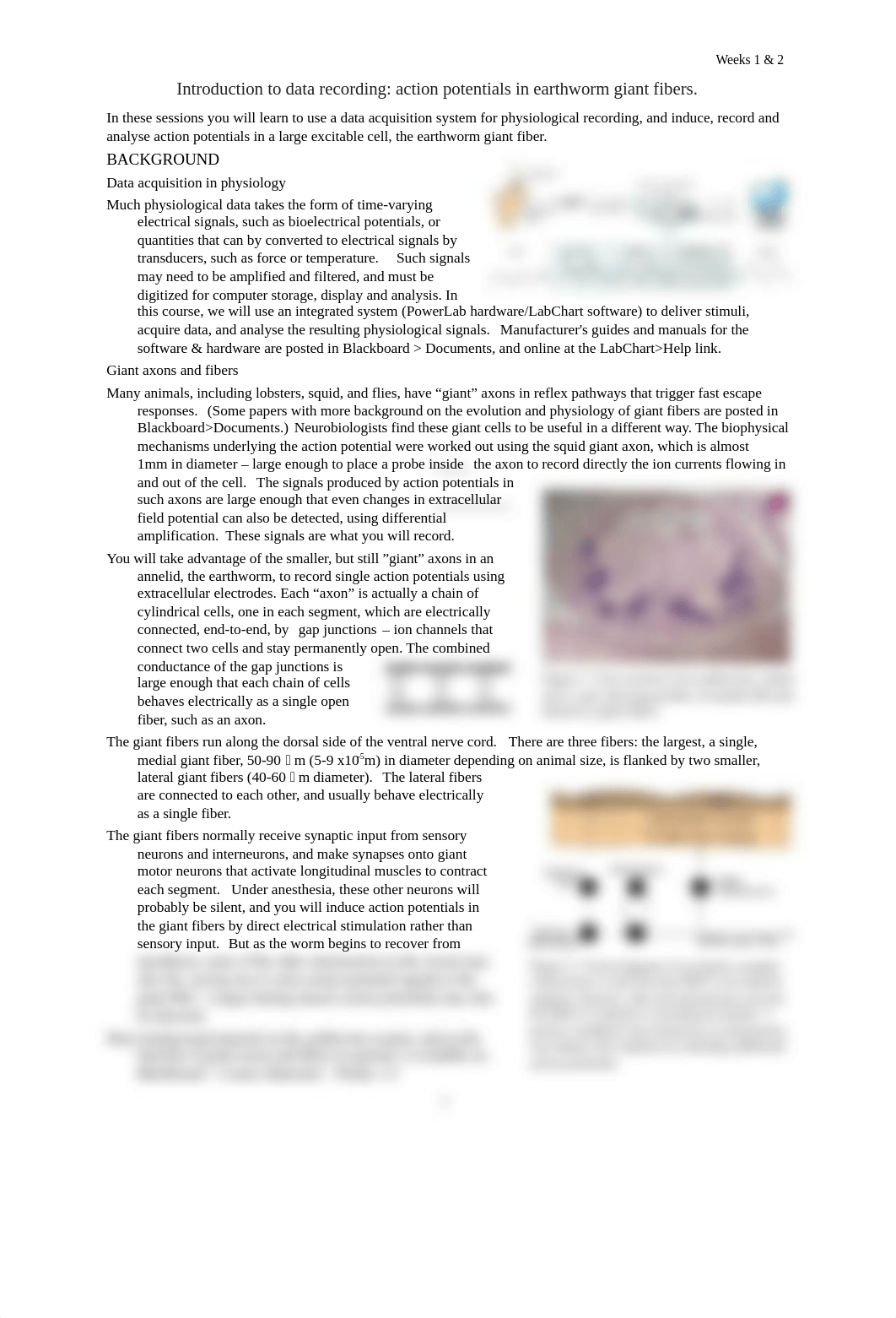 1_LabChart_wormAP_INSTRUCTIONS.v4.docx_dv1r4mm22x4_page1