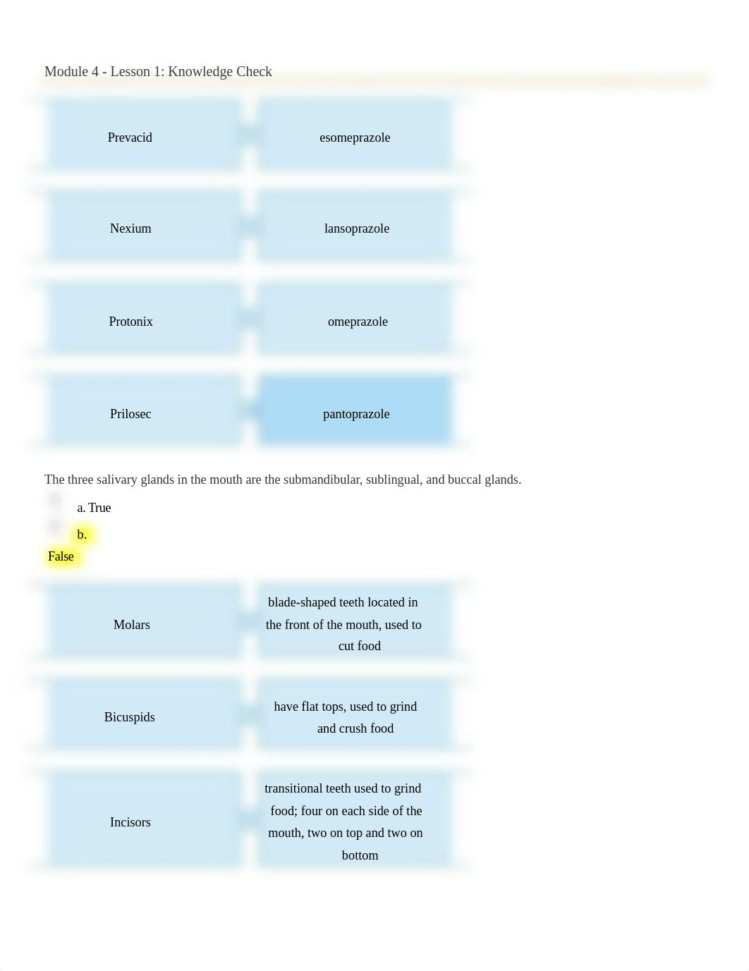 Module 4  Lesson 1 Knowledge Check.docx_dv22y9lhdvg_page1