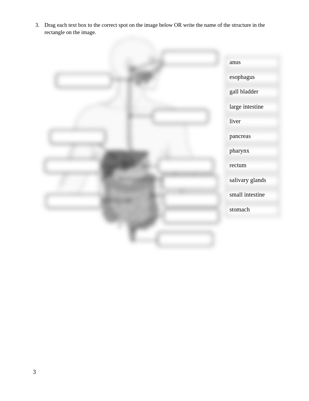 Module 8 Lab.docx_dv2a4lqlu3l_page3