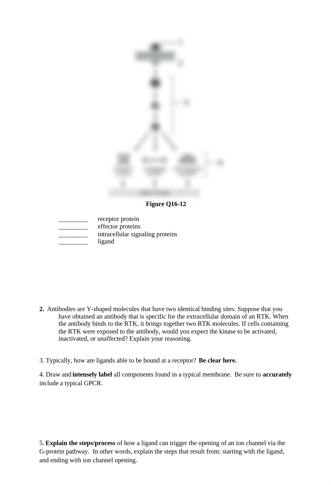 Chapter 16 Study Guide_dv2iy7ic9pn_page2