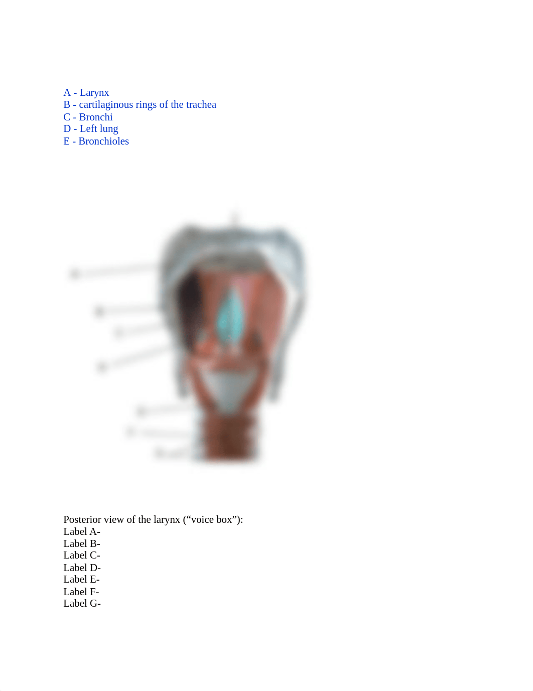 Module 2 Review-Answers.docx_dv2sgn4tbdj_page3