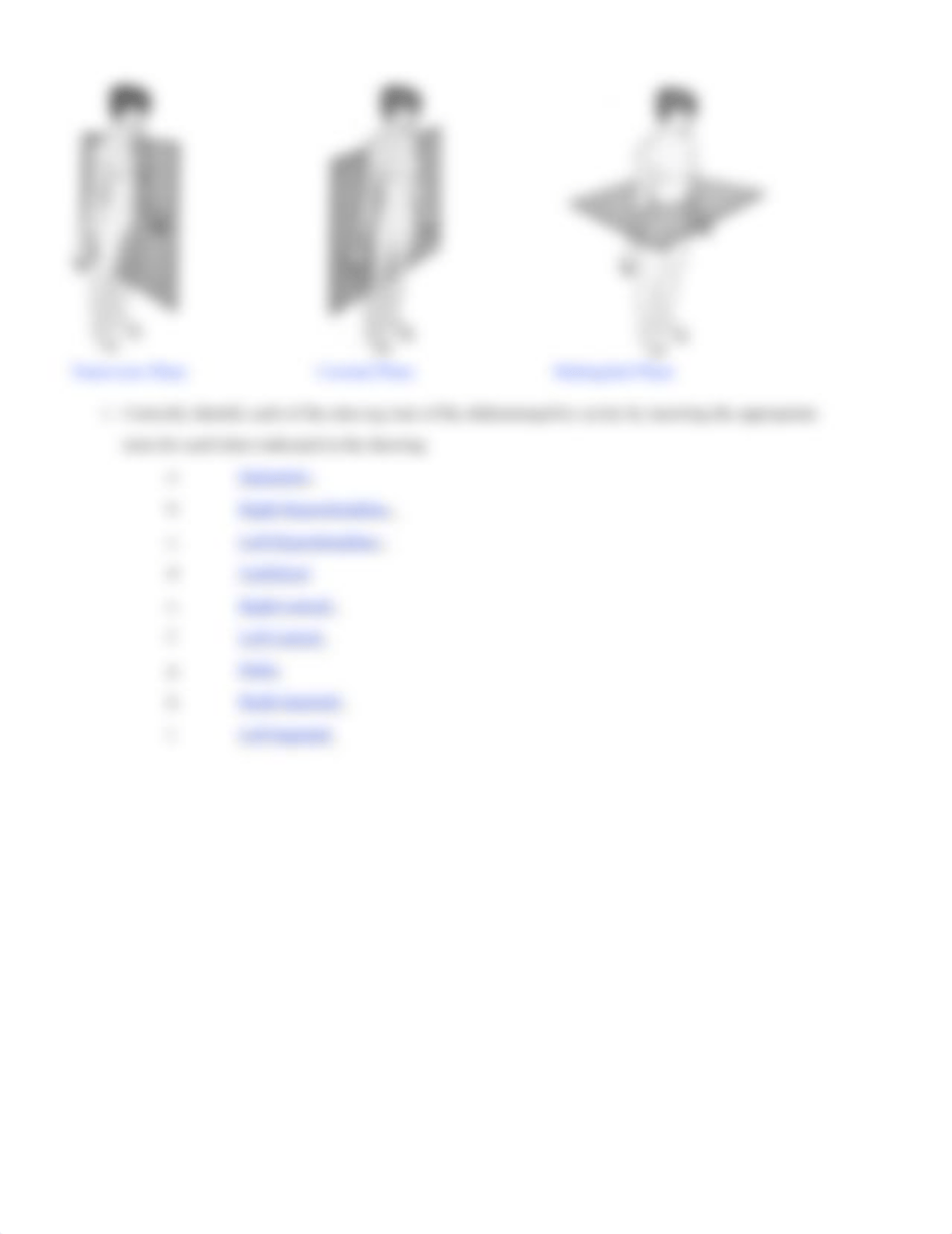 Ex01 Review sheet - The Language of Anatomy.docx_dv2u9ovz7o7_page5