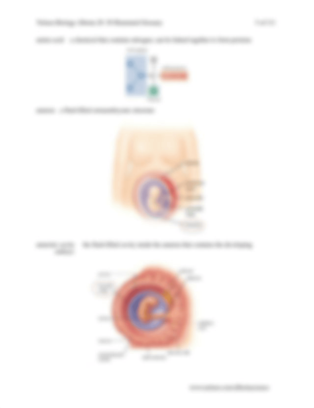 ___bio_illus_glossary.pdf_dv30trs0hd3_page5