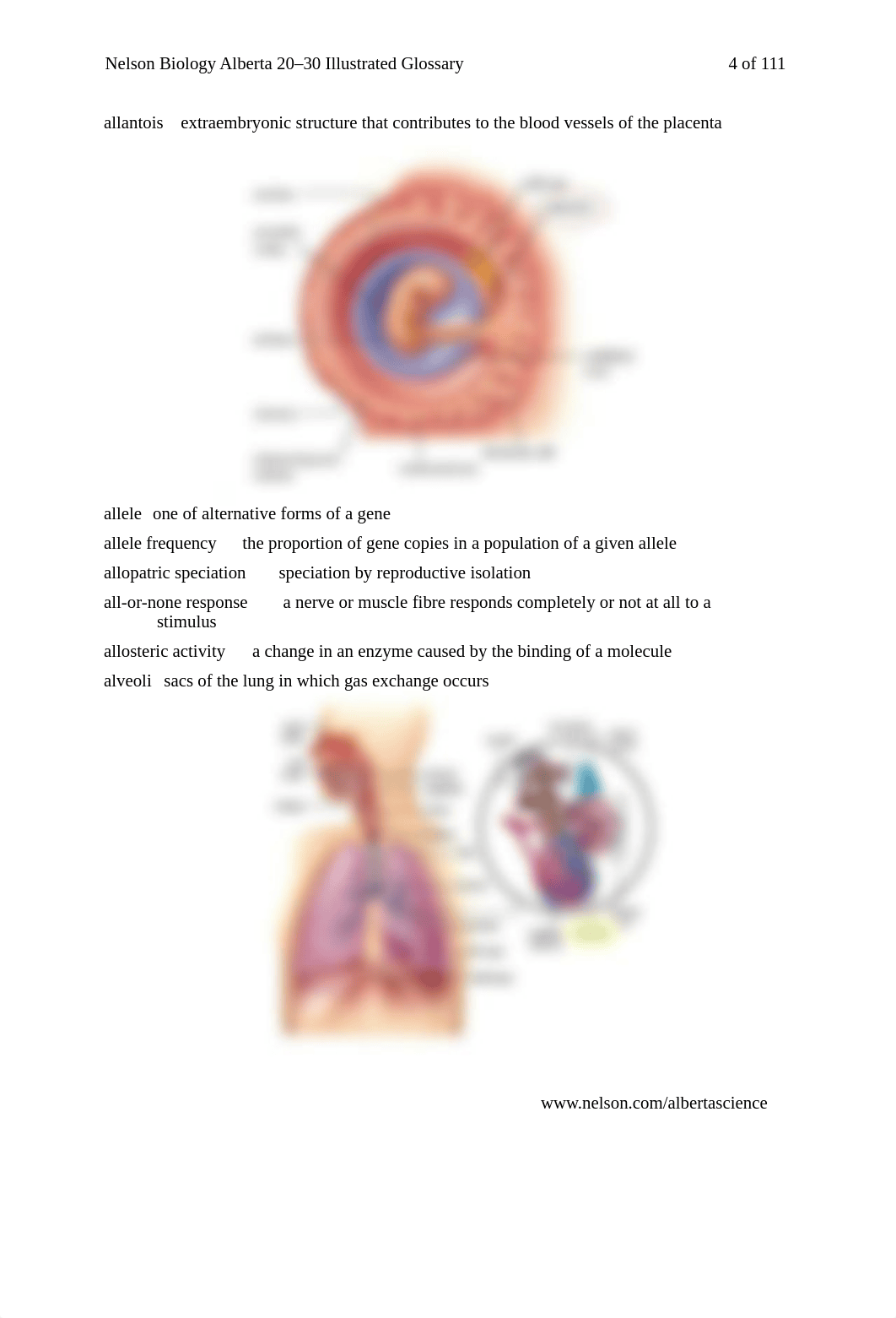 ___bio_illus_glossary.pdf_dv30trs0hd3_page4